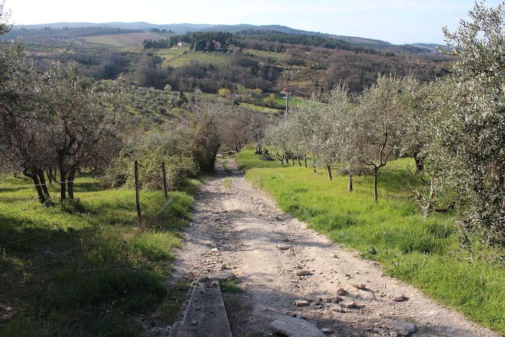 barberino tavarnelle