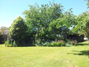 edgewater motel te anau