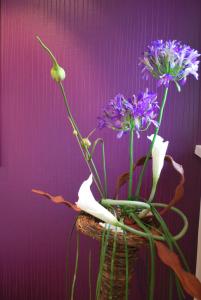 hotel les perce neige