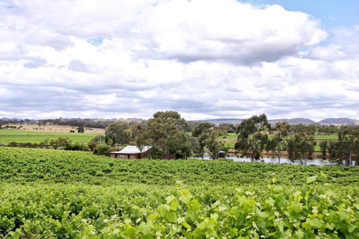 stonewell cottages and vineyards