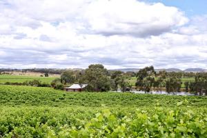 stonewell cottages and vineyards