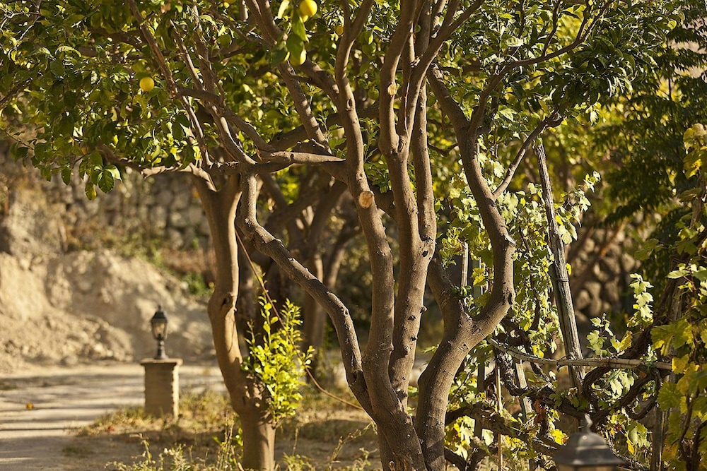 tenuta del poggio antico