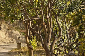 tenuta del poggio antico