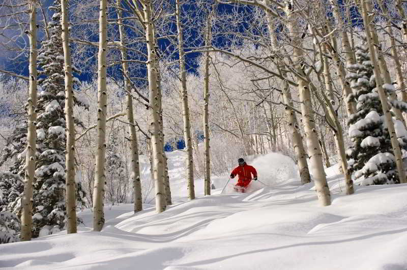 aspen