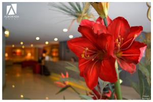 hotel alborada