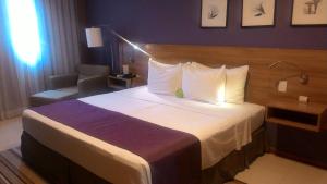 comfort hotel sertaozinho