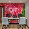 hotel indigo anaheim by ihg