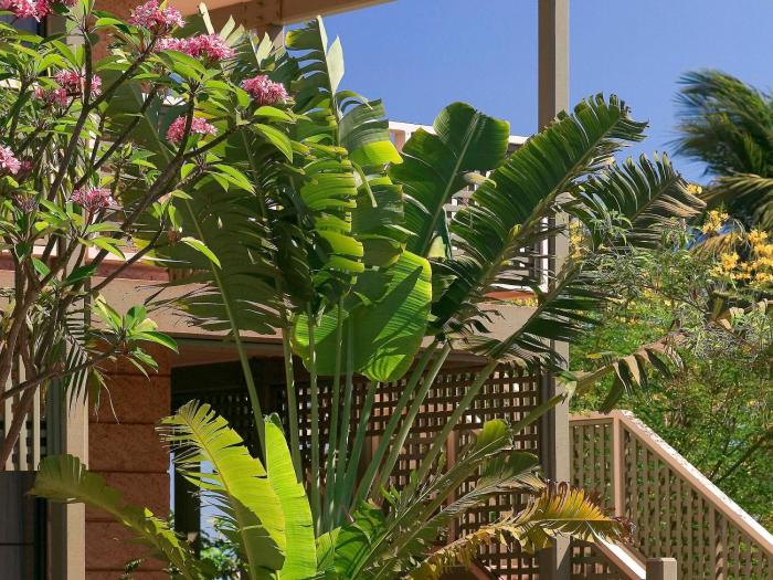 ibis styles port hedland