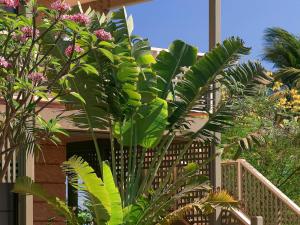 ibis styles port hedland
