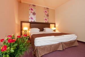 balneo complex and spa aquatonik