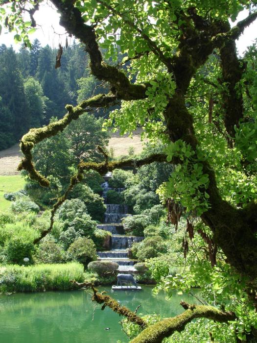 hotel therme bad teinach