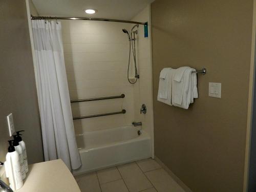 springhill suites corpus christi