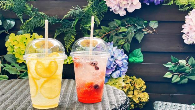 centurion hotel residential akasaka