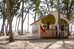 punta cana
