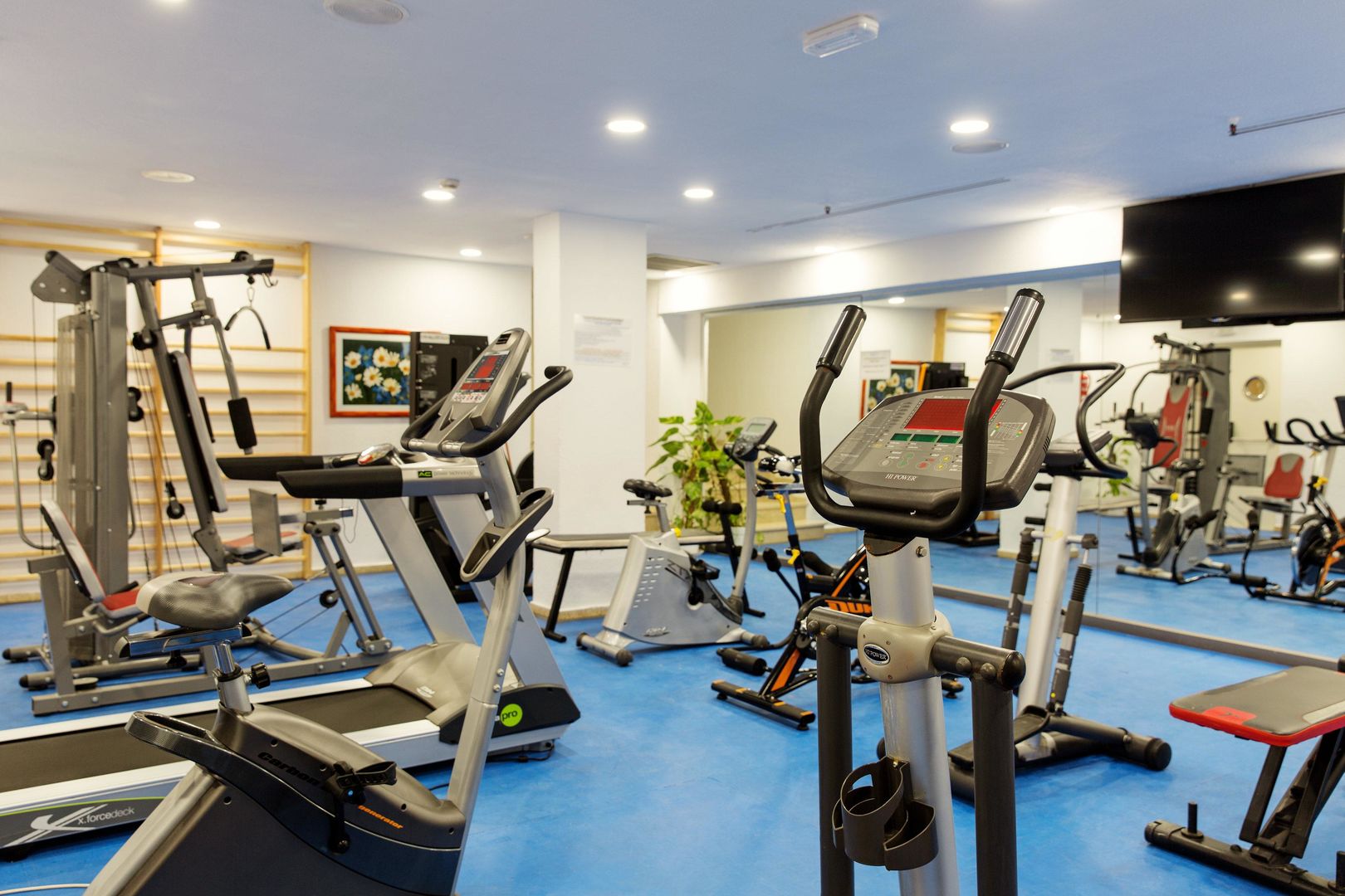 mur hotel neptuno gran canaria adults only