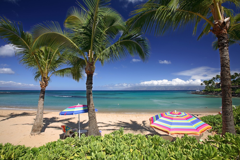 the mauian boutique beach studios on napili bay