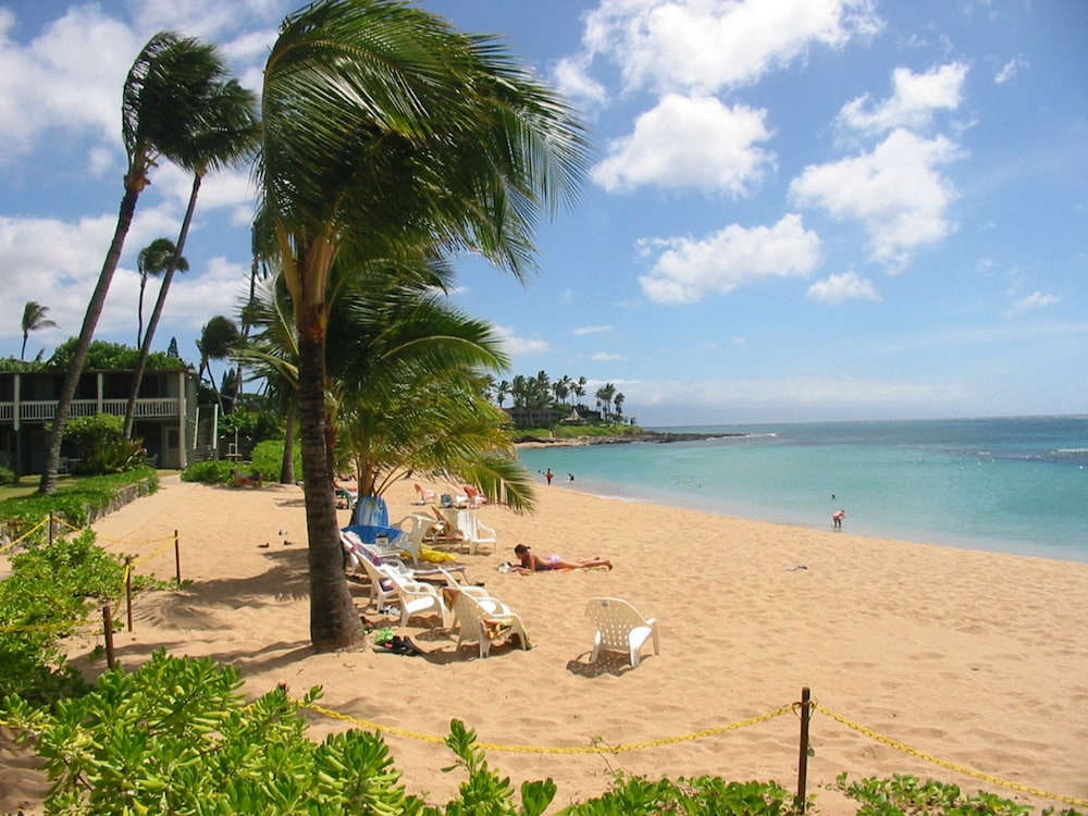 the mauian boutique beach studios on napili bay