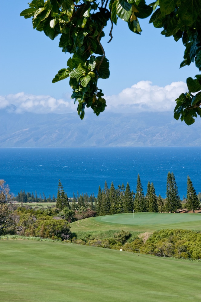 the mauian boutique beach studios on napili bay