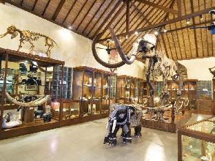 Mason Elephant Lodge,Denpasar>>Bali,5 star