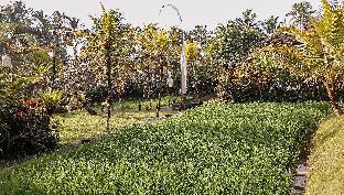 Chapung Sebali,Gianyar>>Bali,5 star