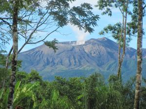 Blue River Resort & Hot Springs,Alajuela>>Aguas Claras,4 star