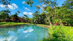 Blue River Resort & Hot Springs,Alajuela>>Aguas Claras,4 star