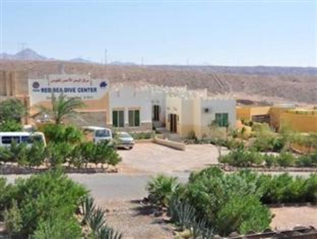 red sea dive center hotel and dive center