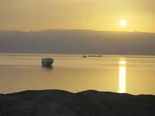 red sea dive center hotel and dive center