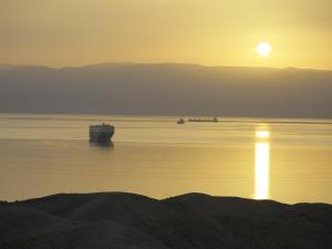 red sea dive center hotel and dive center