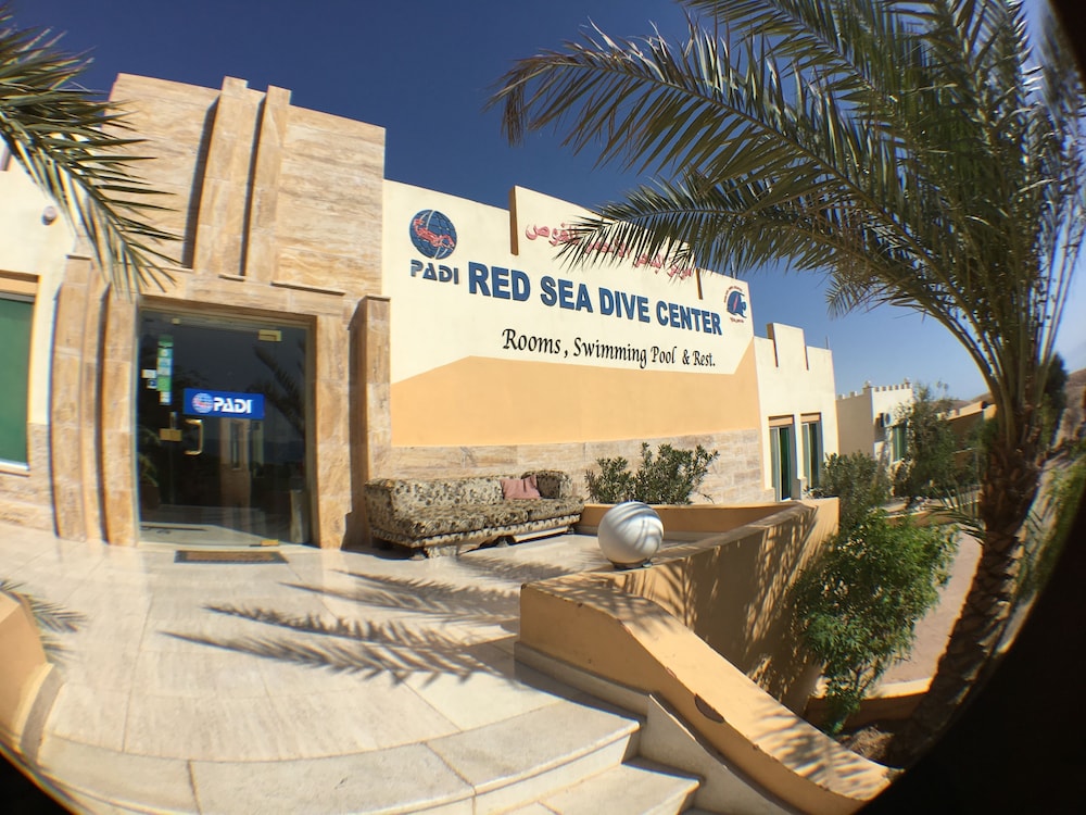 red sea dive center hotel and dive center
