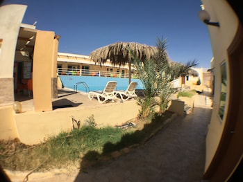 red sea dive center hotel and dive center