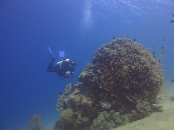 aqaba