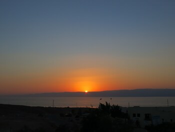 red sea dive center hotel and dive center