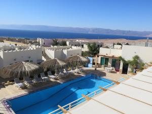 red sea dive center hotel and dive center