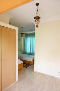 red sea dive center hotel and dive center