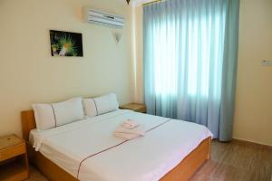 red sea dive center hotel and dive center