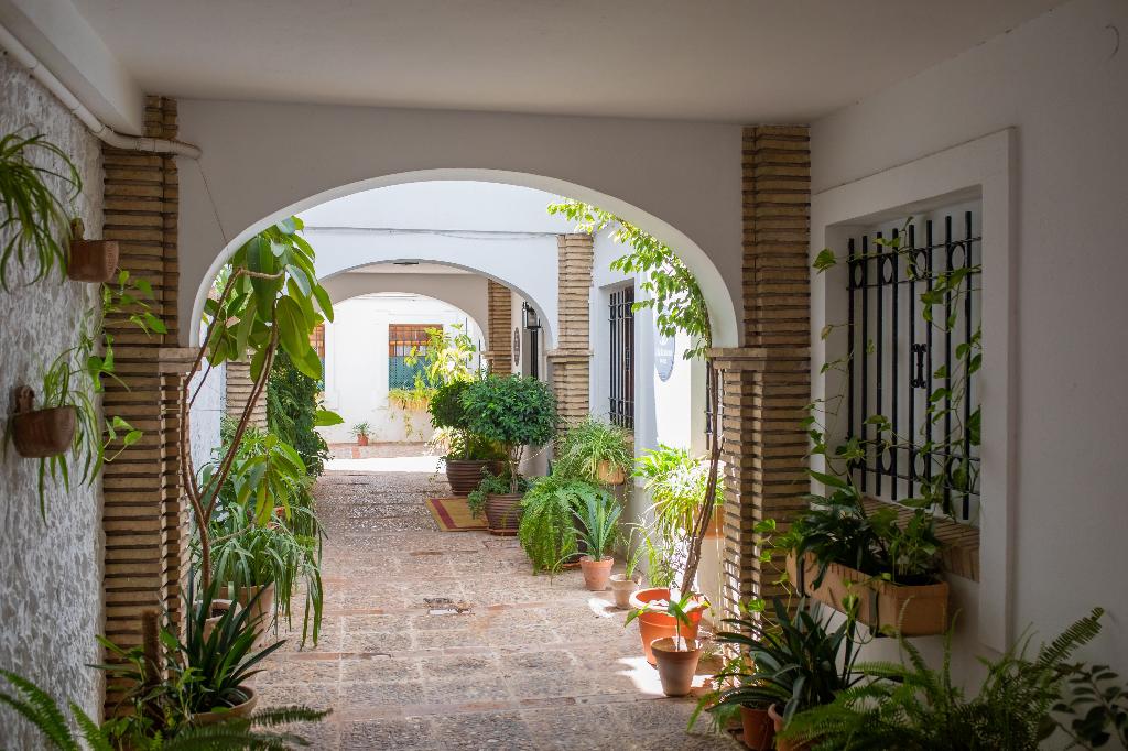 soho boutique atalia