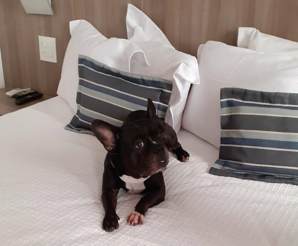 allia gran pampulha suites