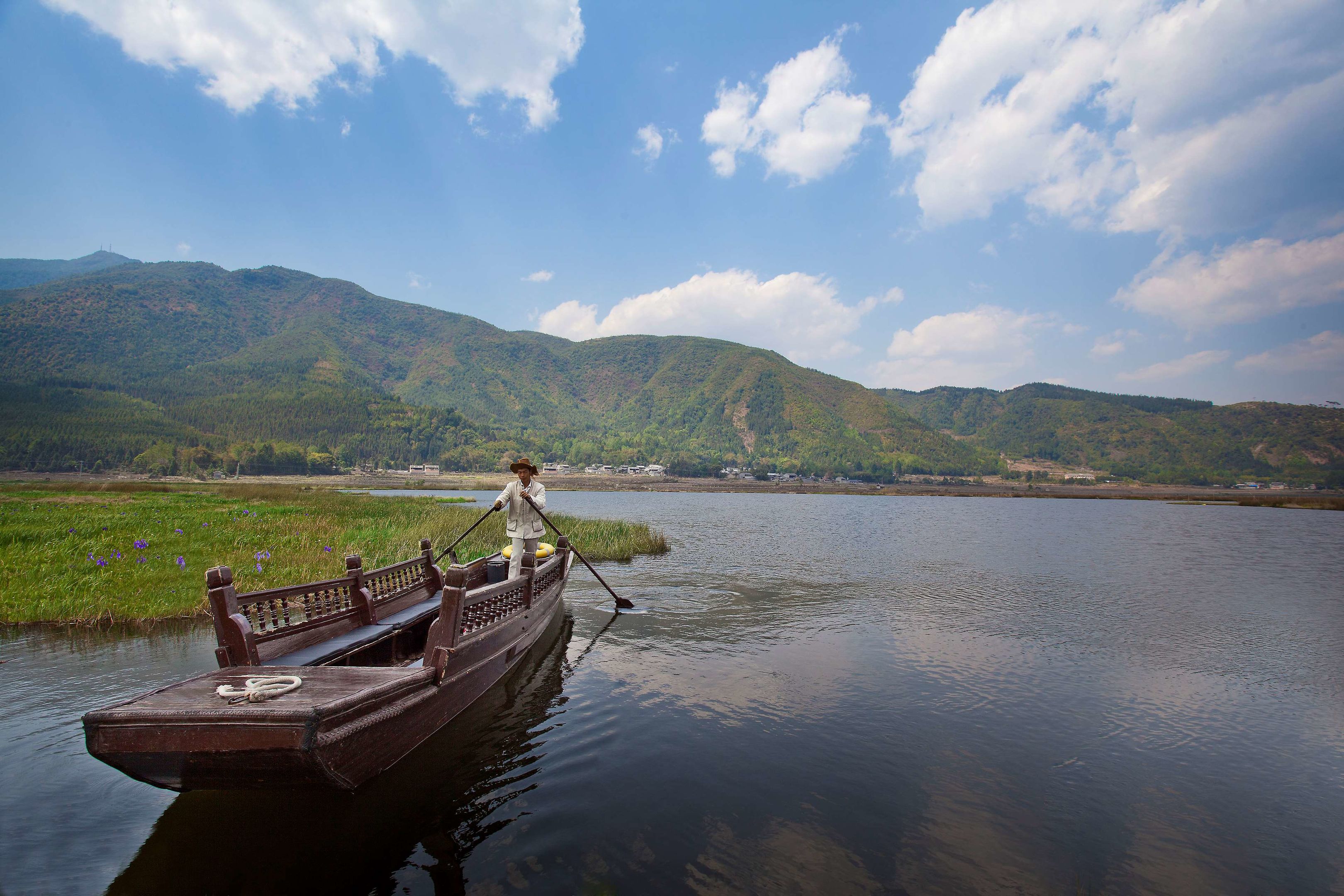 banyan tree tengchong