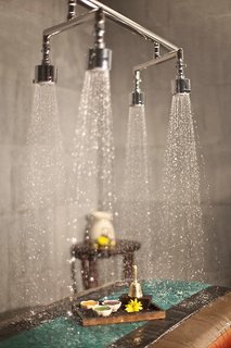 banyan tree tengchong