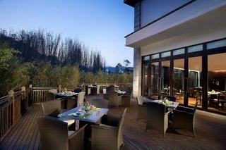 banyan tree tengchong