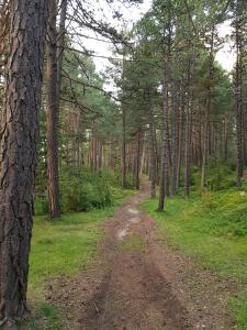 hotel restaurant camp del serrat