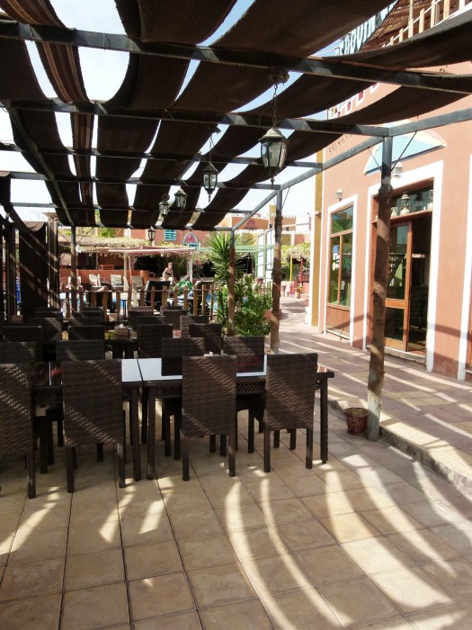 bedouin garden village hotel dive