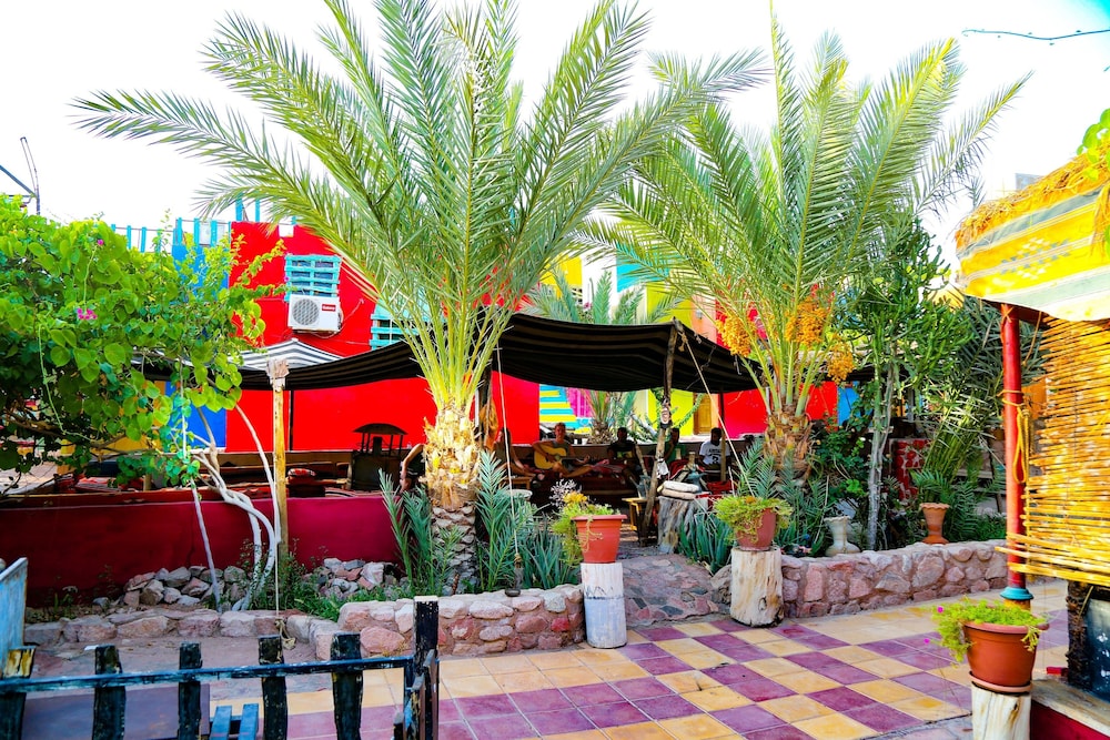 bedouin garden village hotel dive