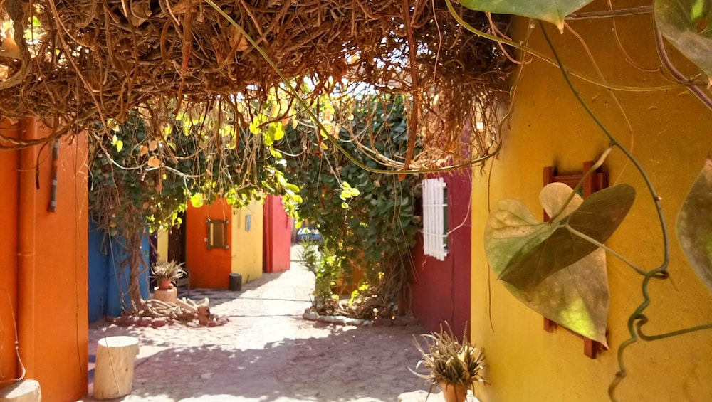 bedouin garden village hotel dive