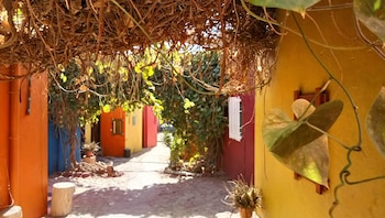 bedouin garden village hotel dive