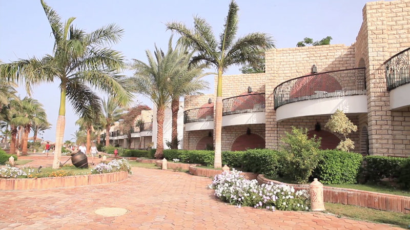 aladdin beach resort families and couples only