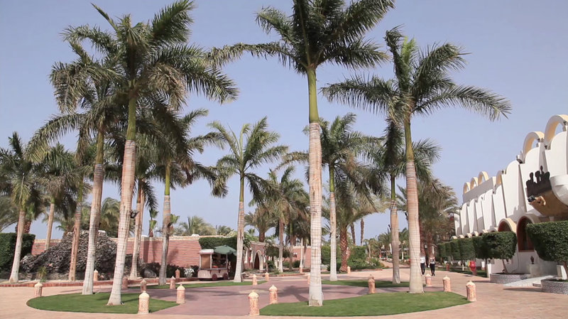 aladdin beach resort families and couples only