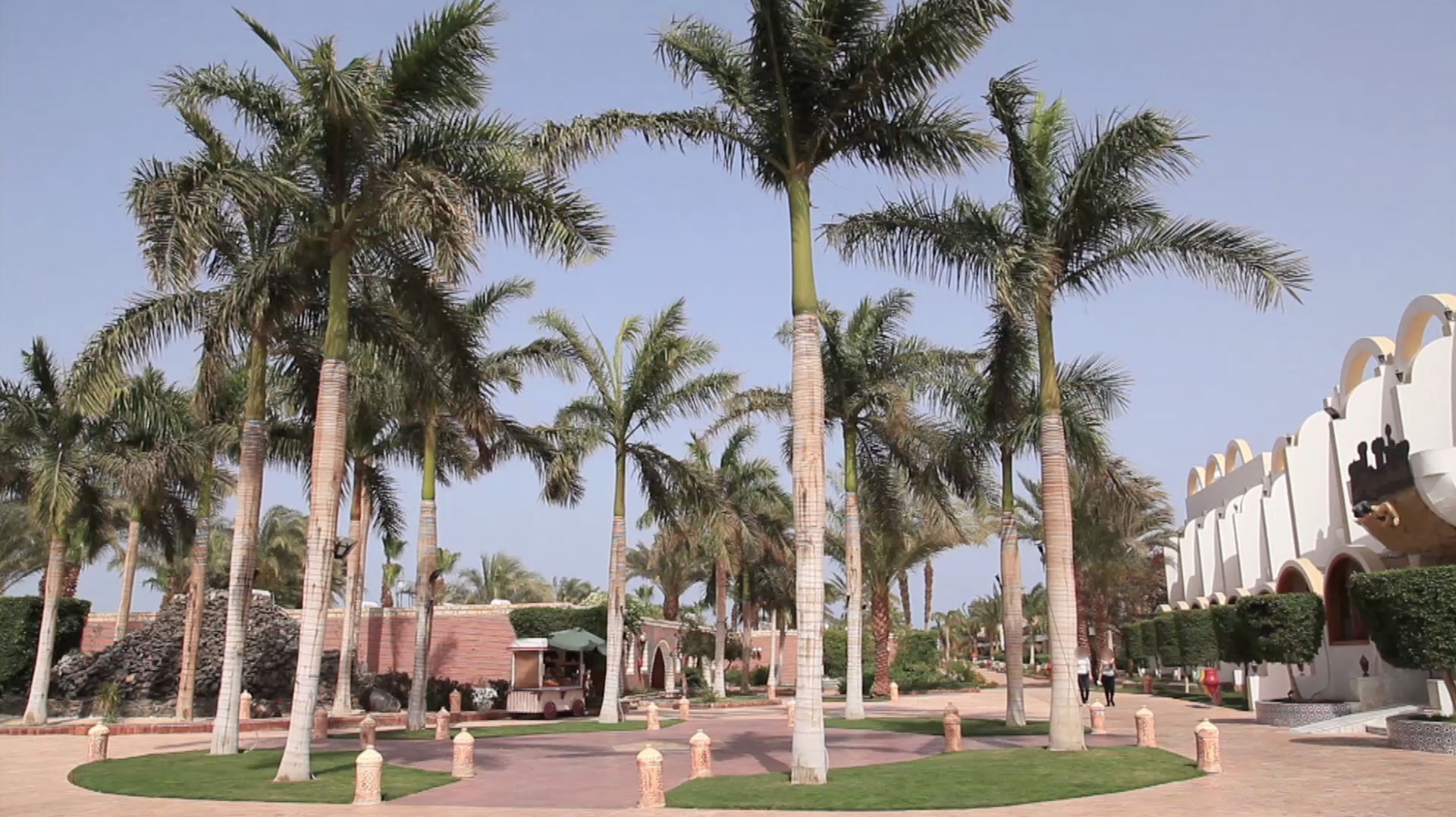 aladdin beach resort families and couples only