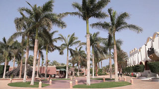 aladdin beach resort families and couples only